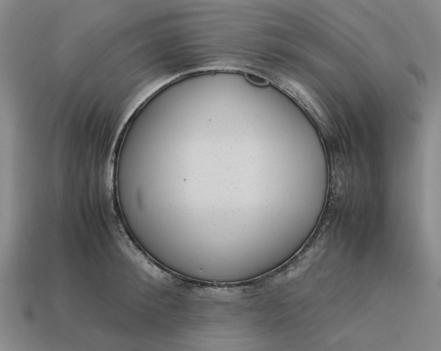 X0000113240900200910011323