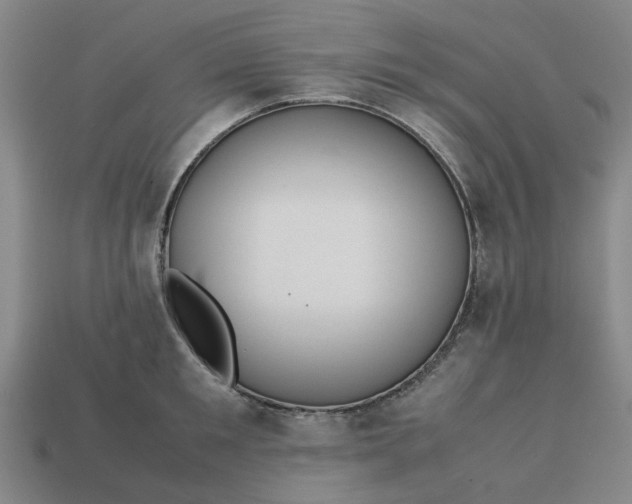 X0000113240901200910011323