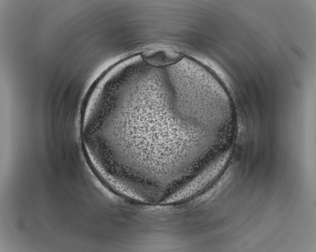 X0000113240902200910011323