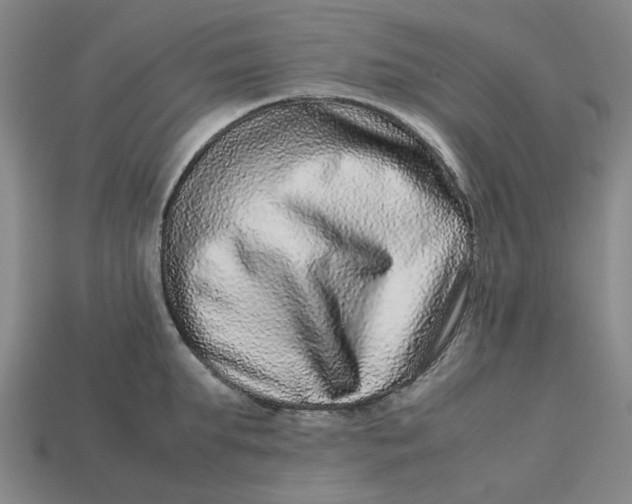 X0000113240903200910011323