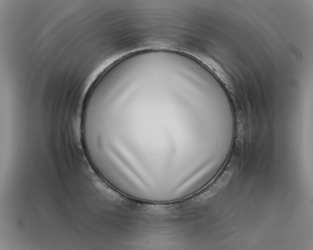 X0000113240904200910011323