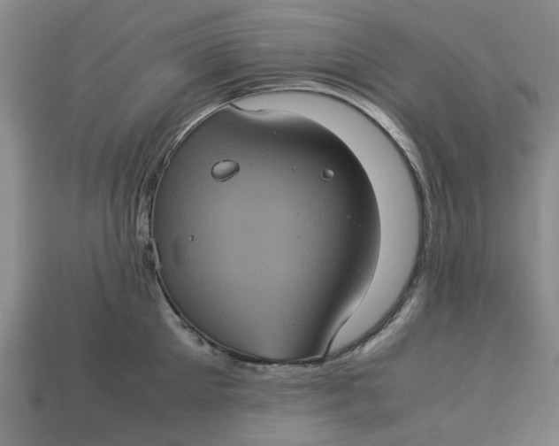 X0000113240905200910011323