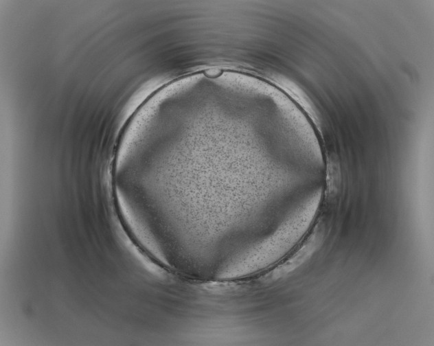 X0000113240906200910011323