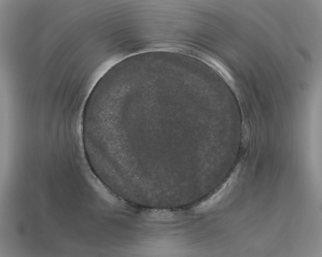 X0000113240907200910011323