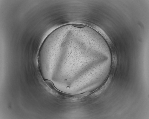 X0000113240908200910011323