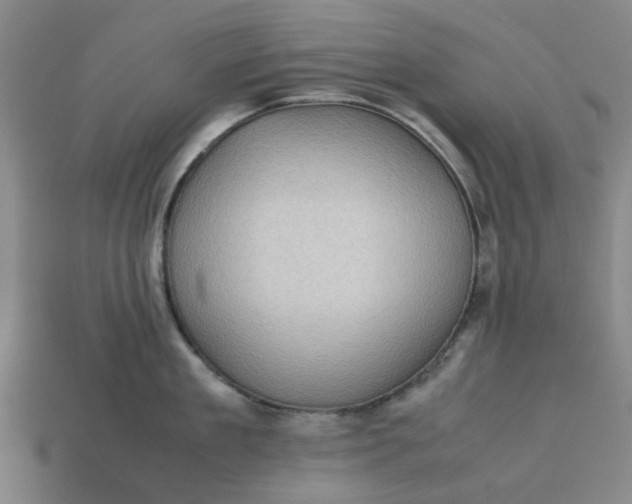 X0000113240909200910011323