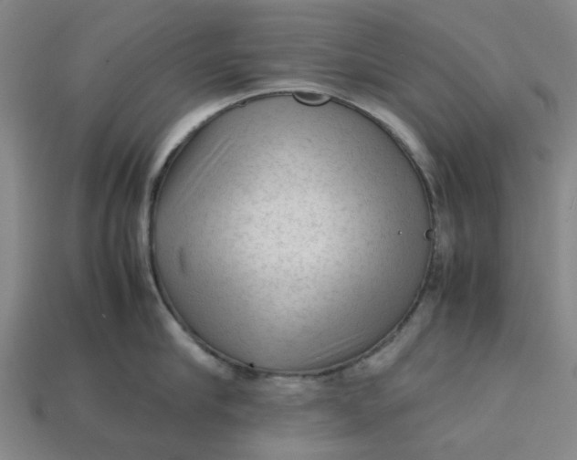 X0000113240910200910011323