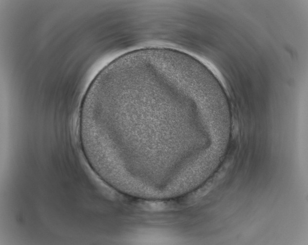 X0000113240911200910011323