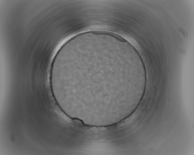 X0000113240912200910011323