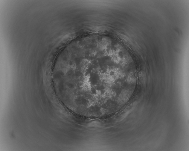 X0000113240913200910011323