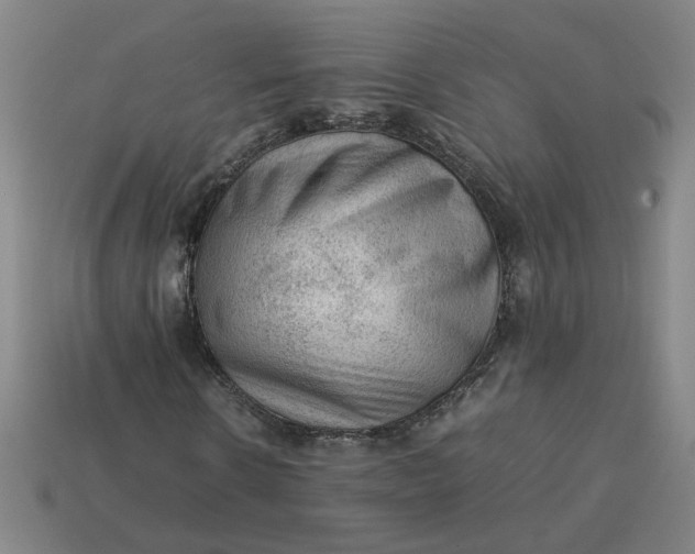 X0000113240914200910011323