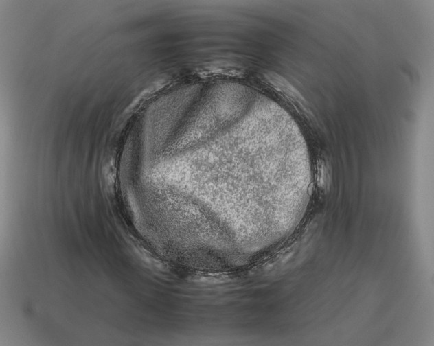 X0000113240915200910011323