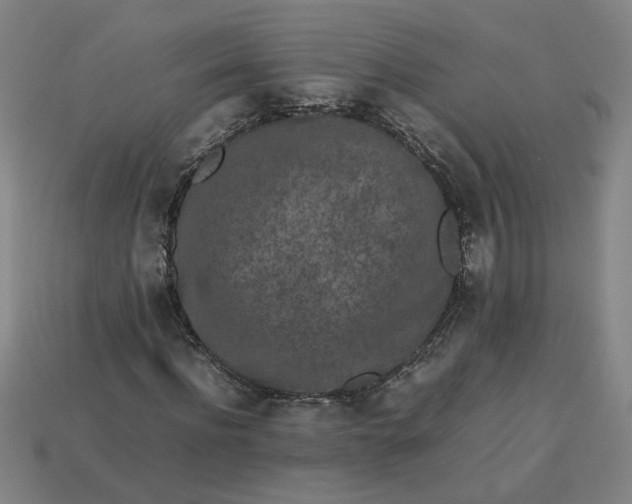 X0000113240916200910011323