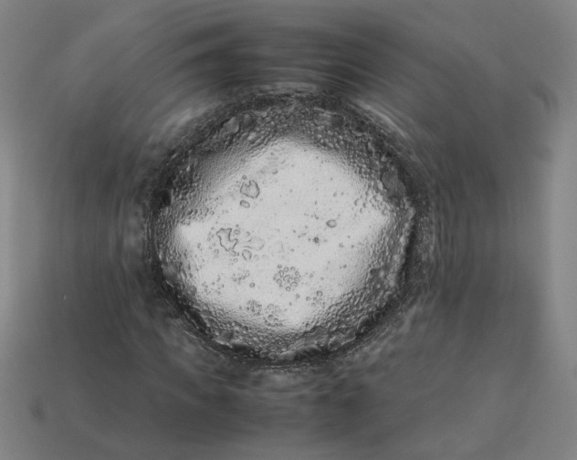 X0000113240917200910011323