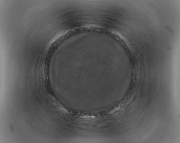 X0000113240919200910011323