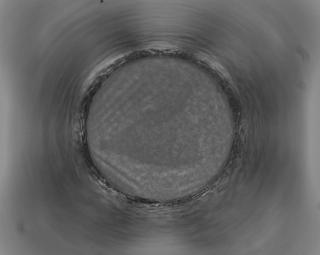 X0000113240920200910011323