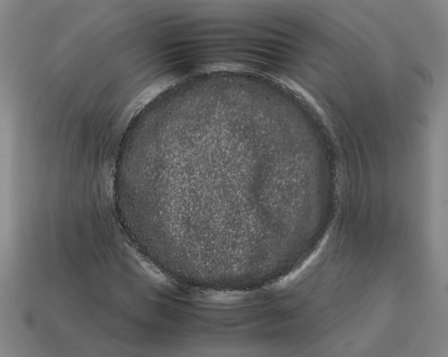 X0000113240921200910011323