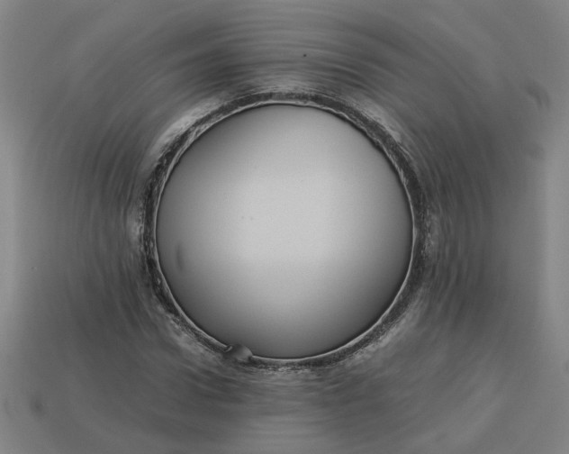 X0000113240922200910011323