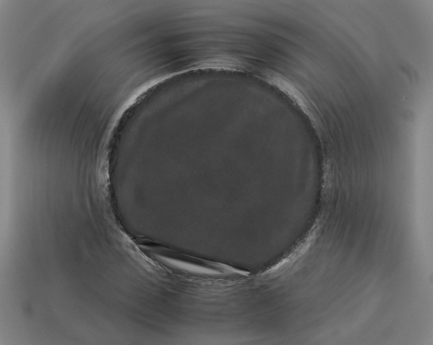 X0000113240923200910011323