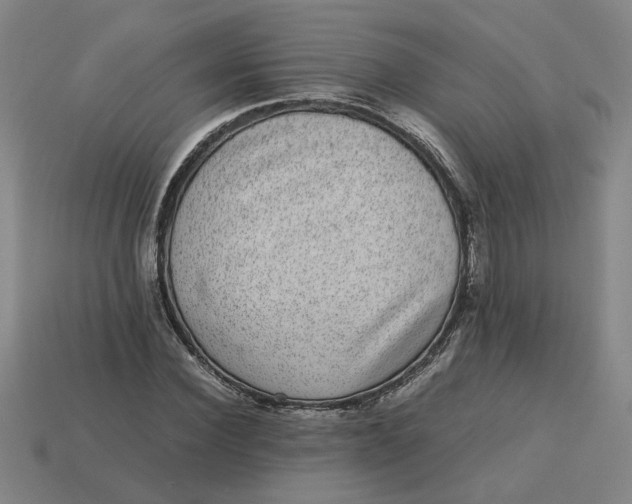 X0000113240924200910011323