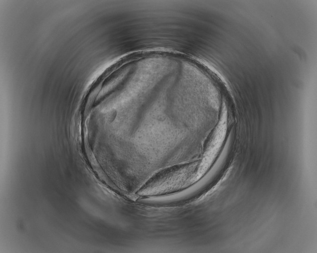 X0000113240925200910011323