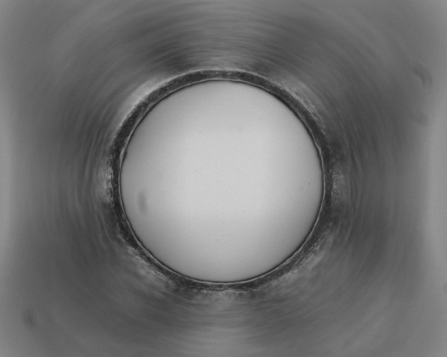 X0000113240926200910011323