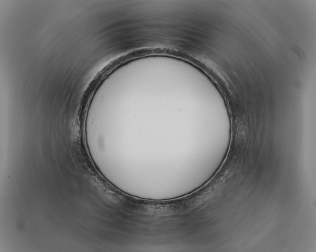 X0000113240927200910011323