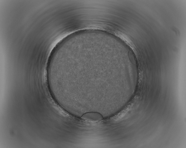 X0000113240928200910011323