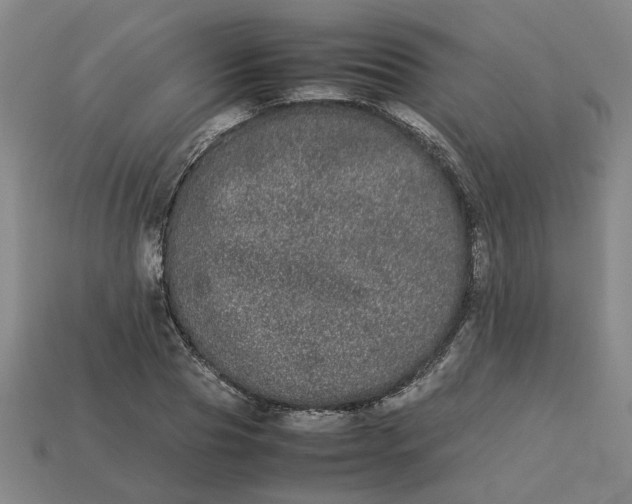 X0000113240929200910011323