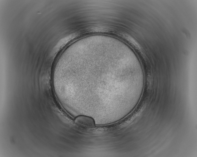 X0000113240930200910011323