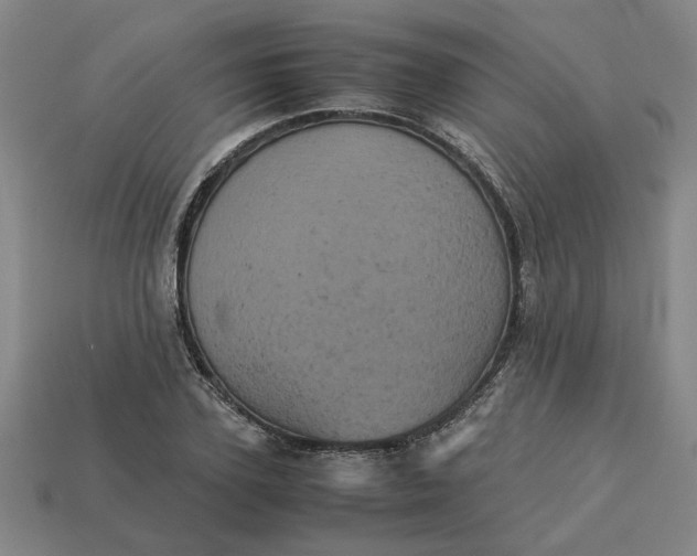 X0000113240931200910011323