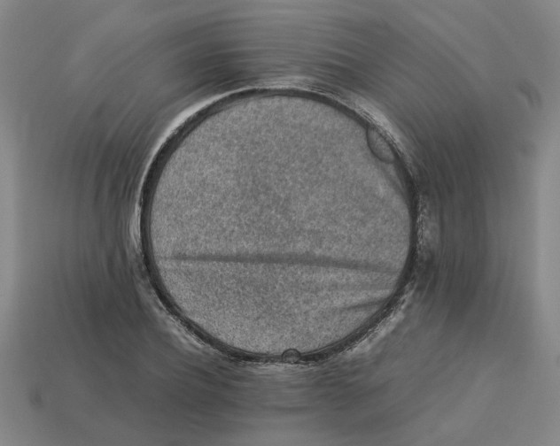 X0000113240932200910011323