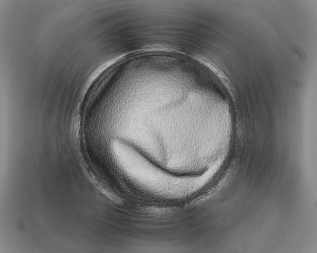 X0000113240933200910011323