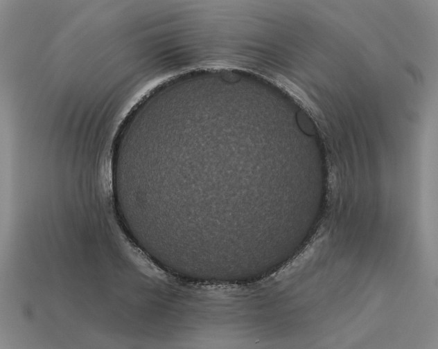 X0000113240934200910011323