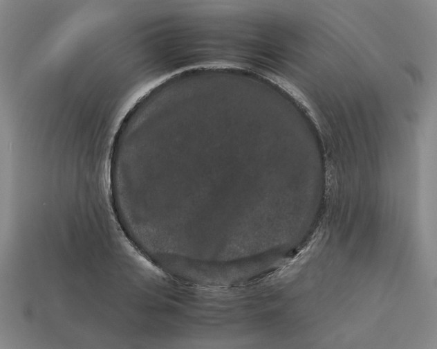 X0000113240935200910011323