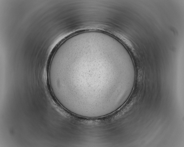 X0000113240936200910011323