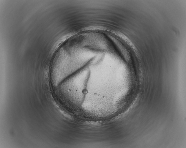 X0000113240937200910011323