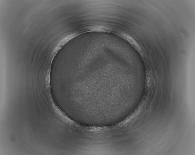 X0000113240938200910011323