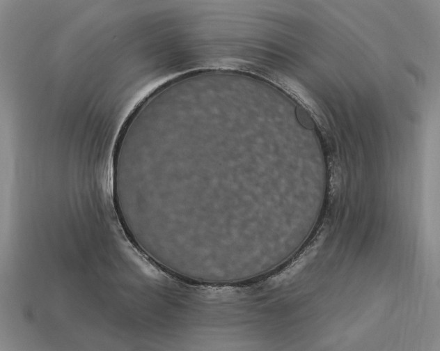 X0000113240940200910011323