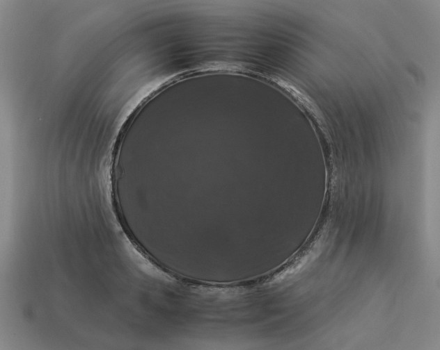 X0000113240941200910011323