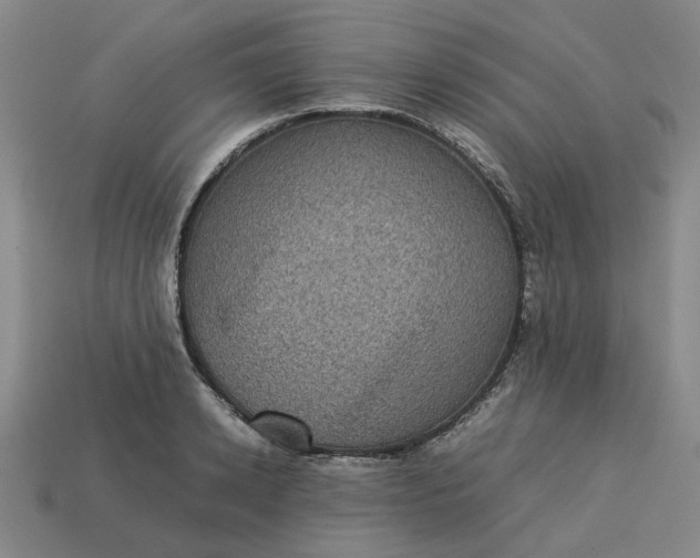 X0000113240942200910011323