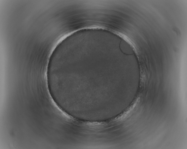 X0000113240943200910011323