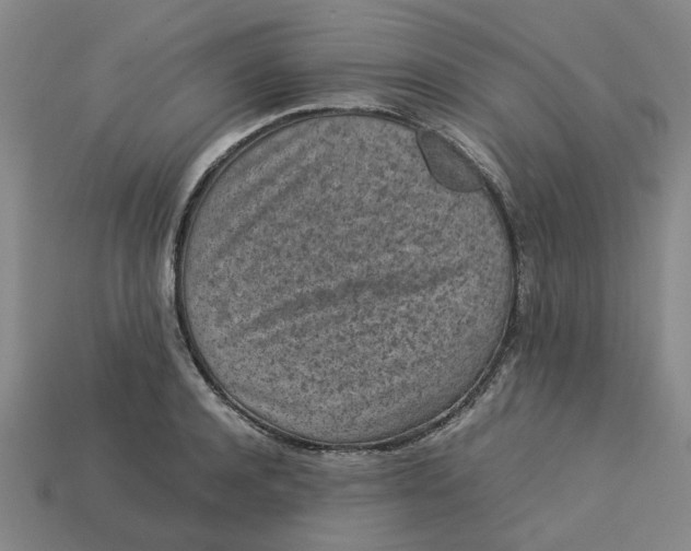 X0000113240944200910011323