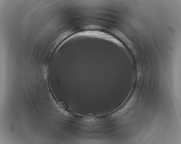 X0000113240945200910011323