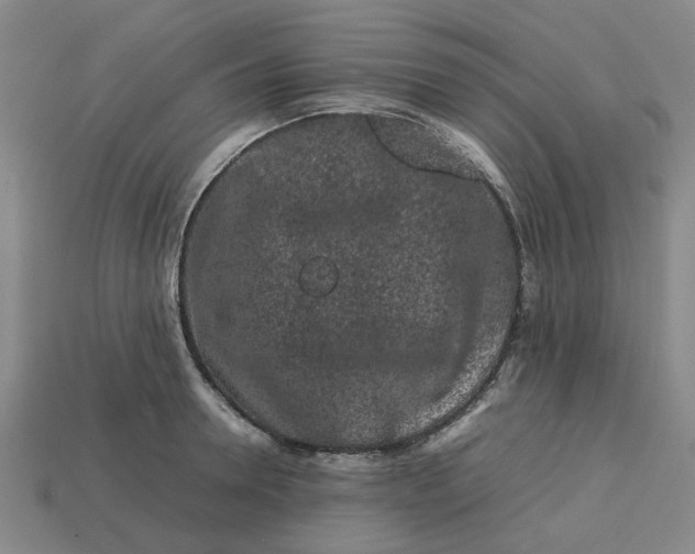 X0000113240946200910011323