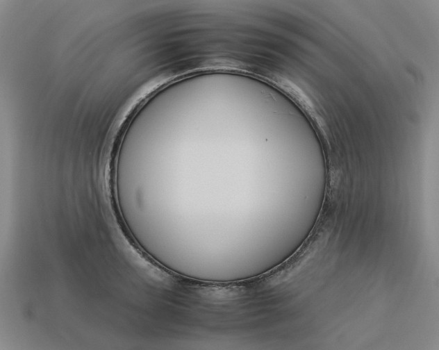 X0000113240947200910011323