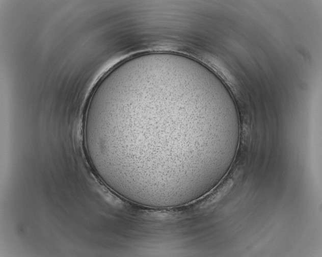 X0000113240948200910011323