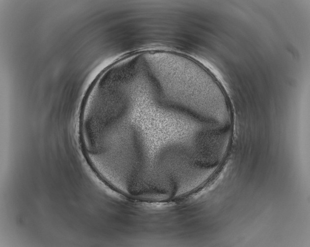 X0000113240949200910011323