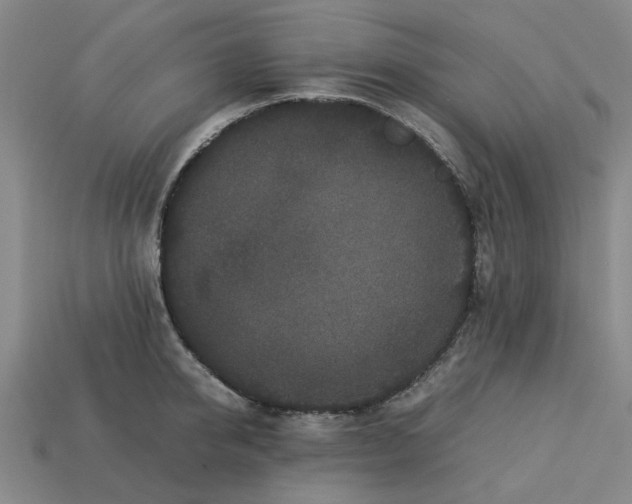 X0000113240950200910011323