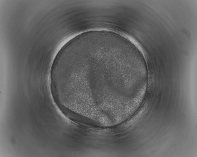 X0000113240951200910011323